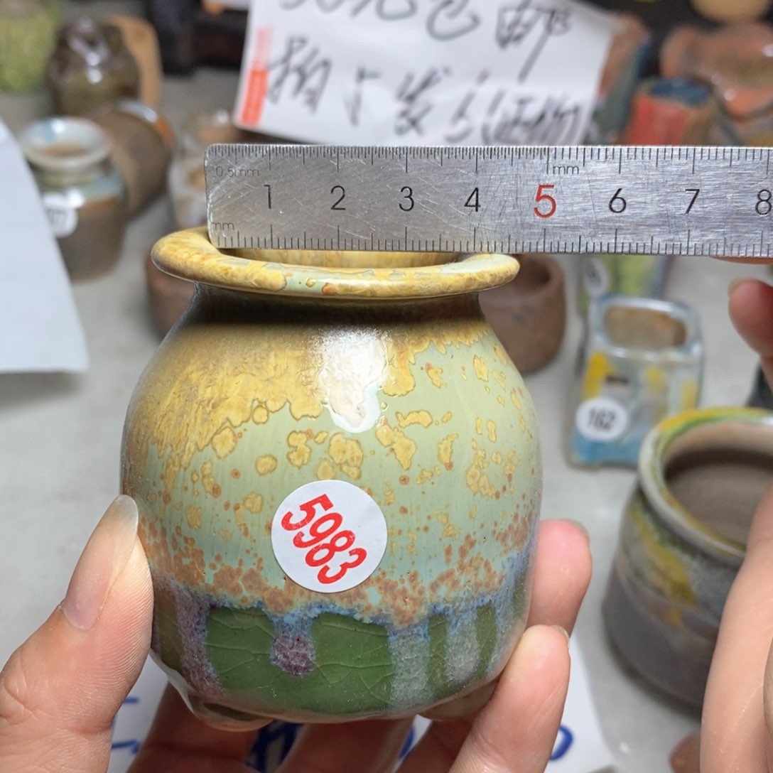 拍5送一个小礼物