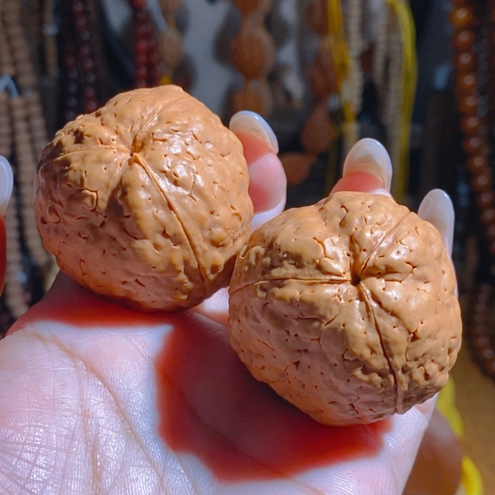 野生三瓣大金刚光头强4045