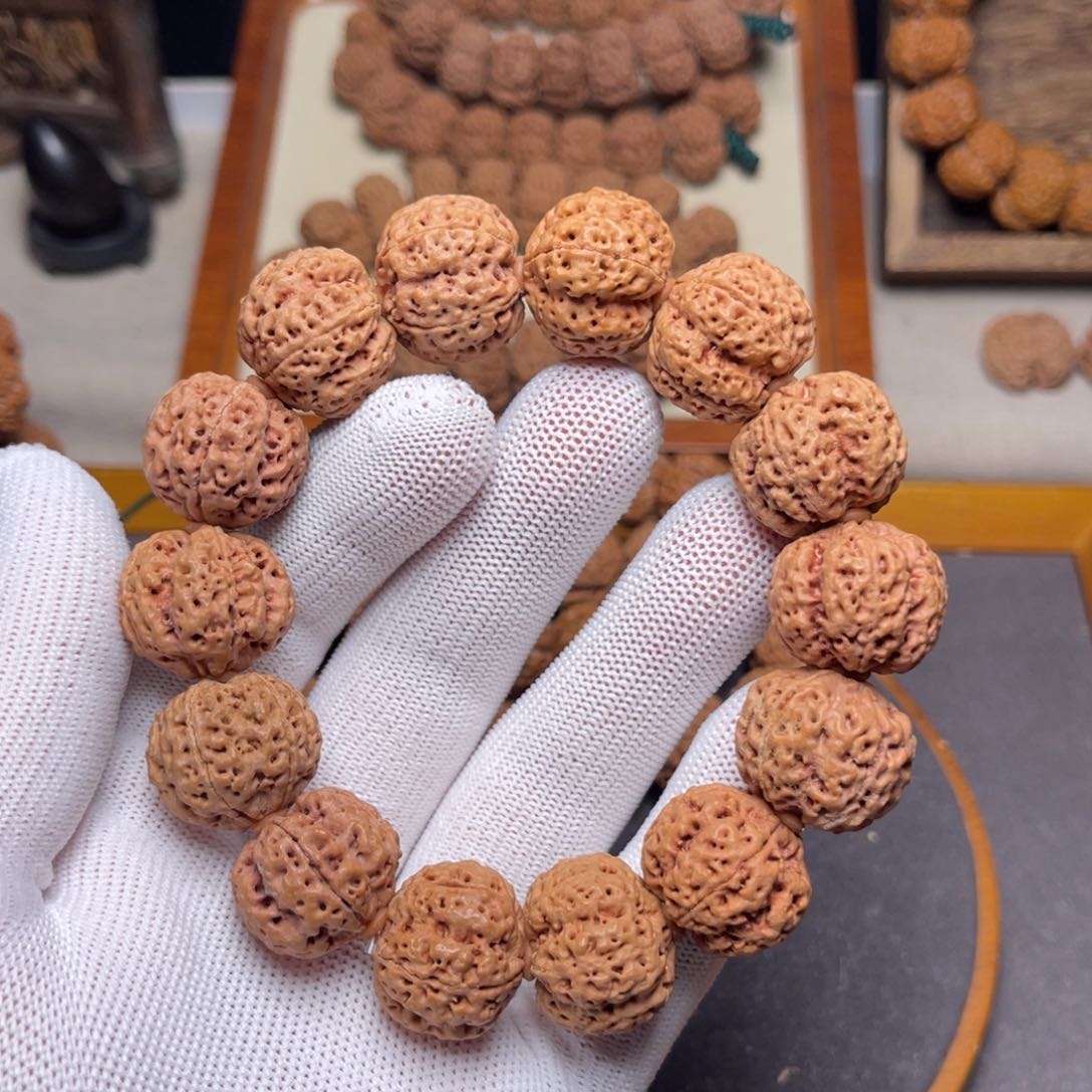 金刚菩提手串梁产区蜂窝梅花双龙头货22左右