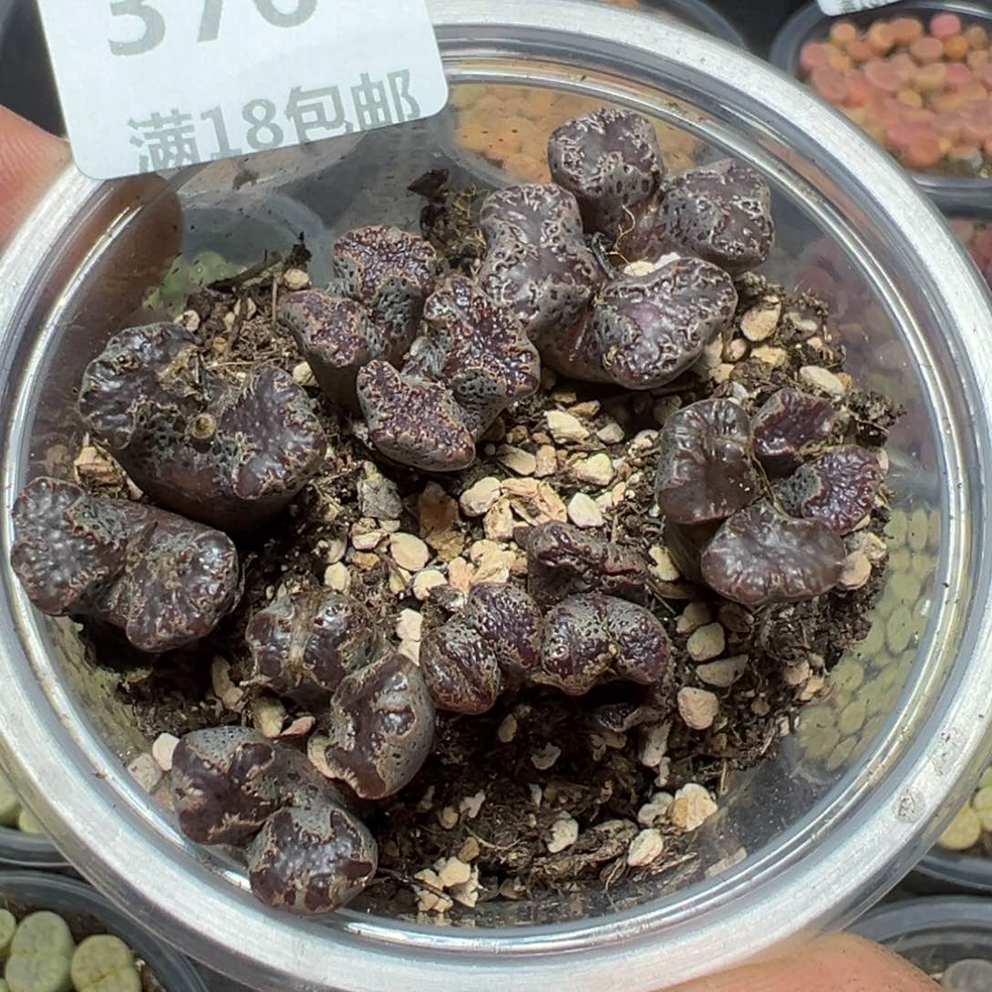 【闪购商品】 376。     