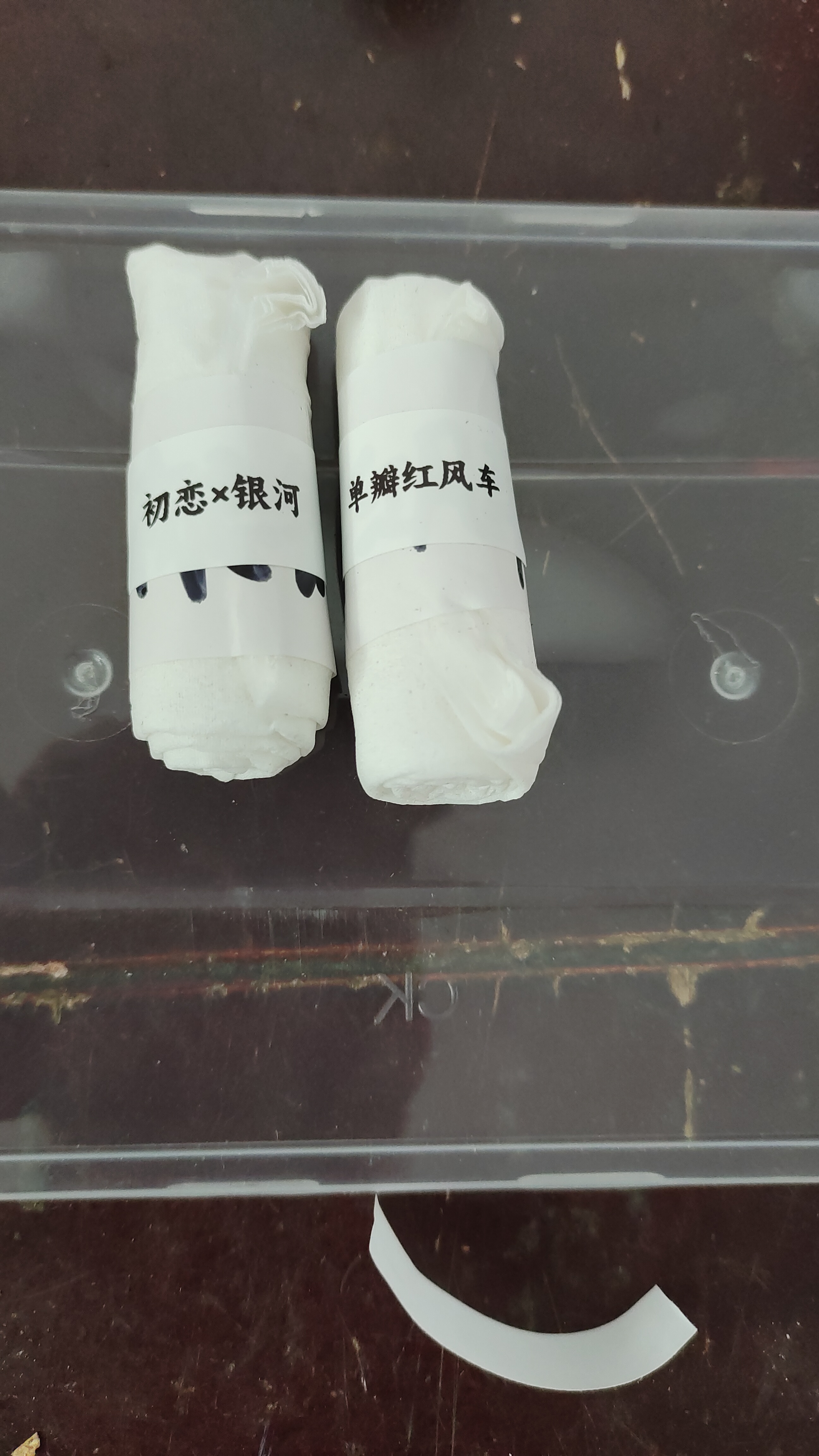 麻点芙蓉种子，初恋杂银河一份，单瓣红风车一份