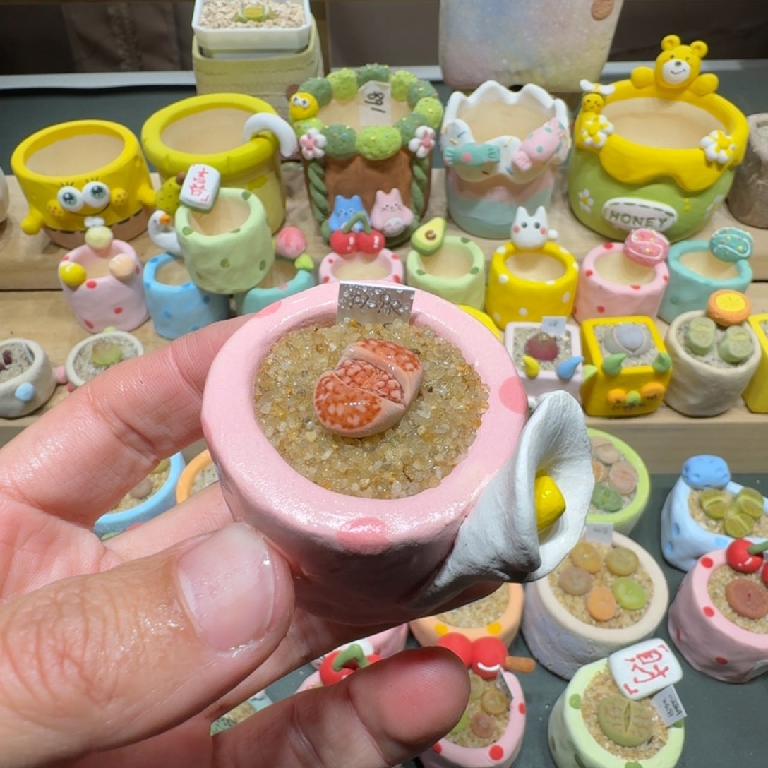 红陶蘑菇774花纹