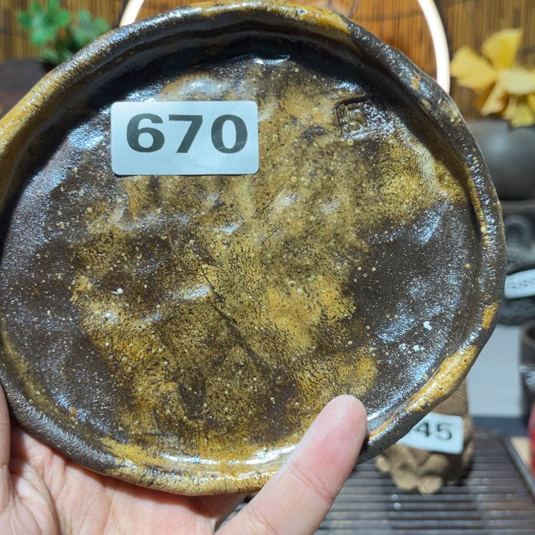 木村信弘柴烧保平