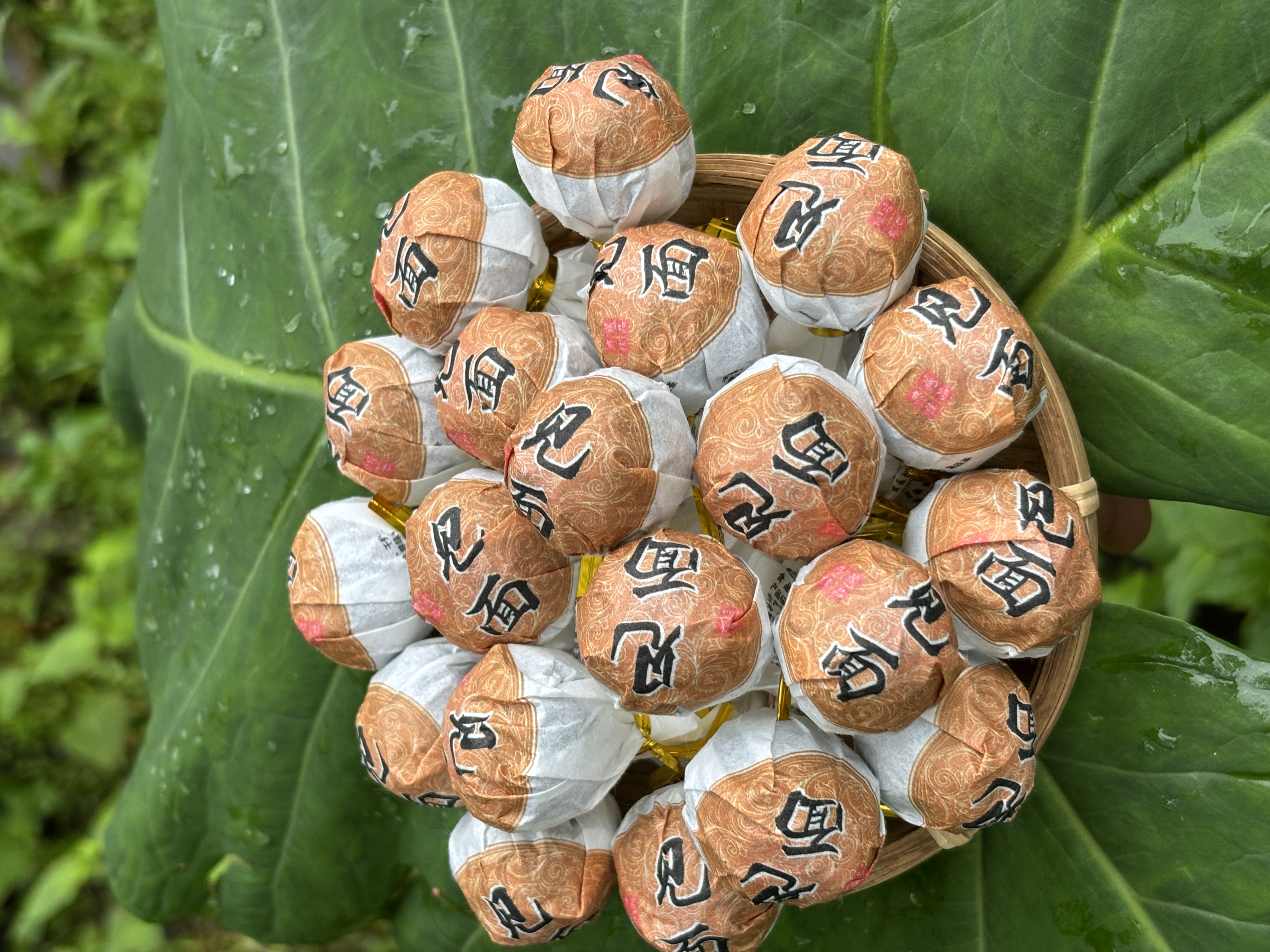 【组长严选】2020年邦旭村头春头采古树龙珠生茶（新人福利）