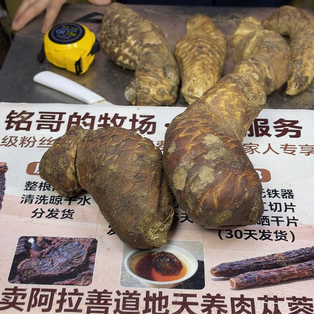 中国大陆2根老根600克