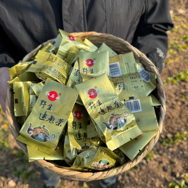 【李司令】太行山野生连翘茶去火泡茶送礼