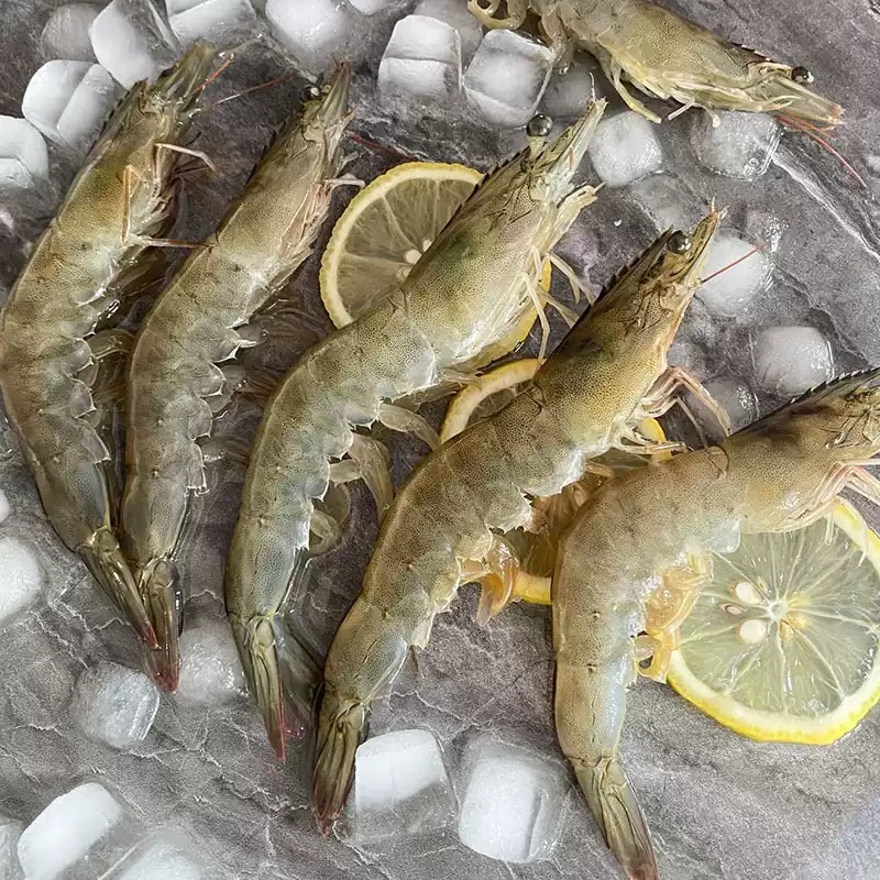 3斤海水大虾 排盘单冻 约22-24只/斤 活冻锁鲜非活发  