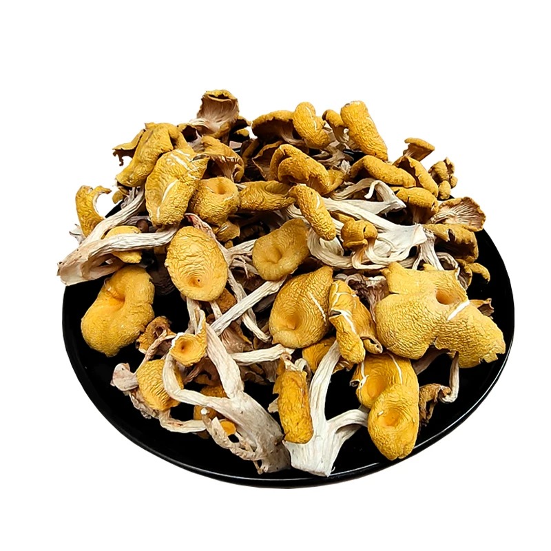 滇缅藏山货干货鸡油菌