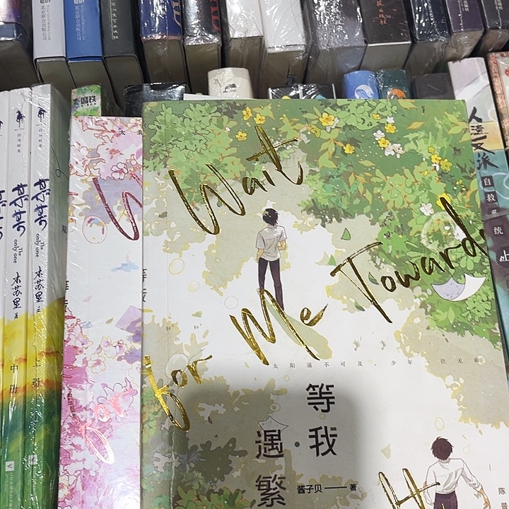 放学等我全新全套两本带周边