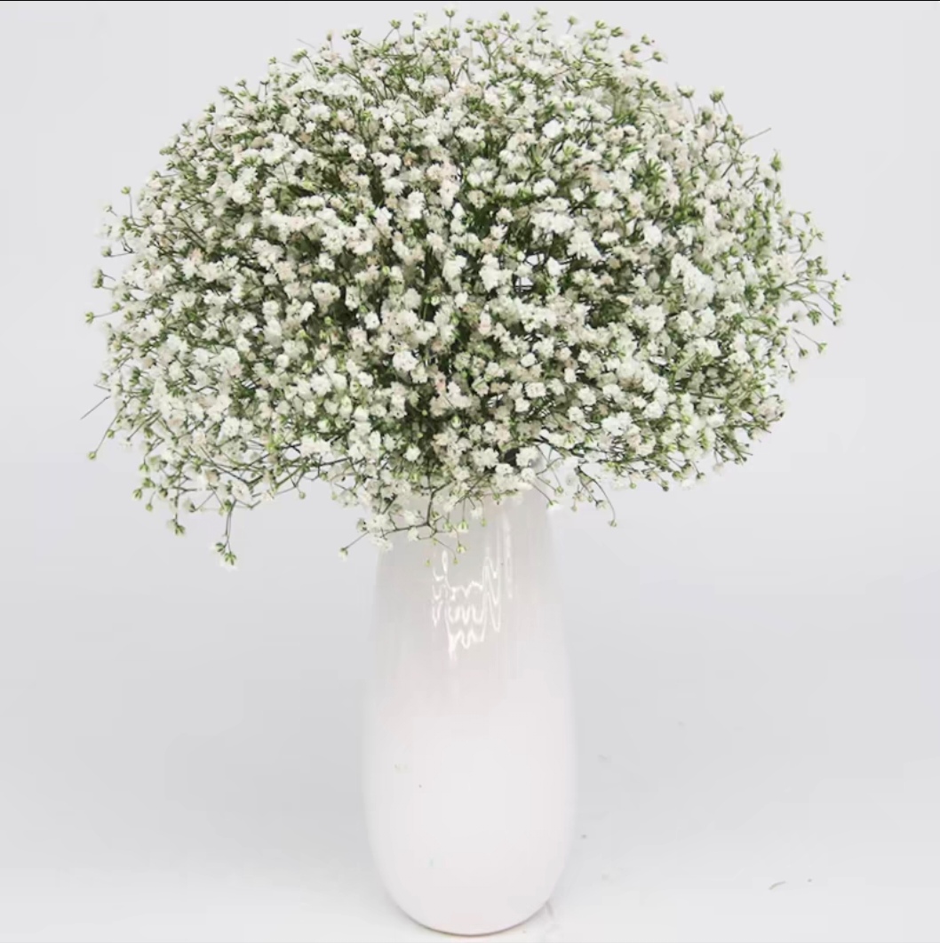 满天星装饰摆设客厅（丹）