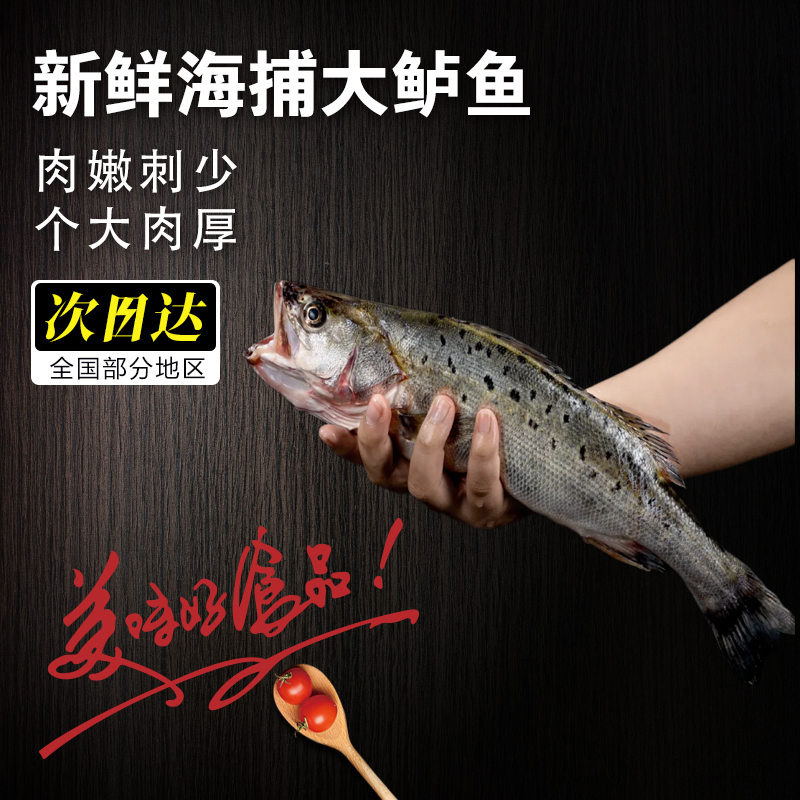 【小哥】东山岛速冻海鲈鱼0.8-1斤/条速冻锁鲜清蒸红烧鲜嫩海鱼