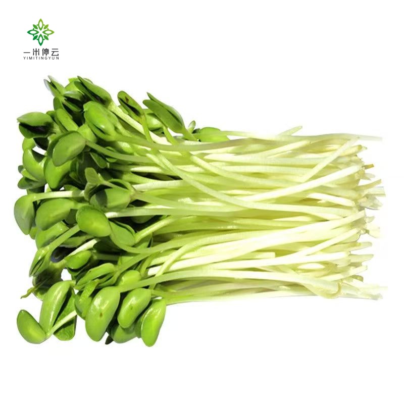 豆苗约0.9-1斤/份