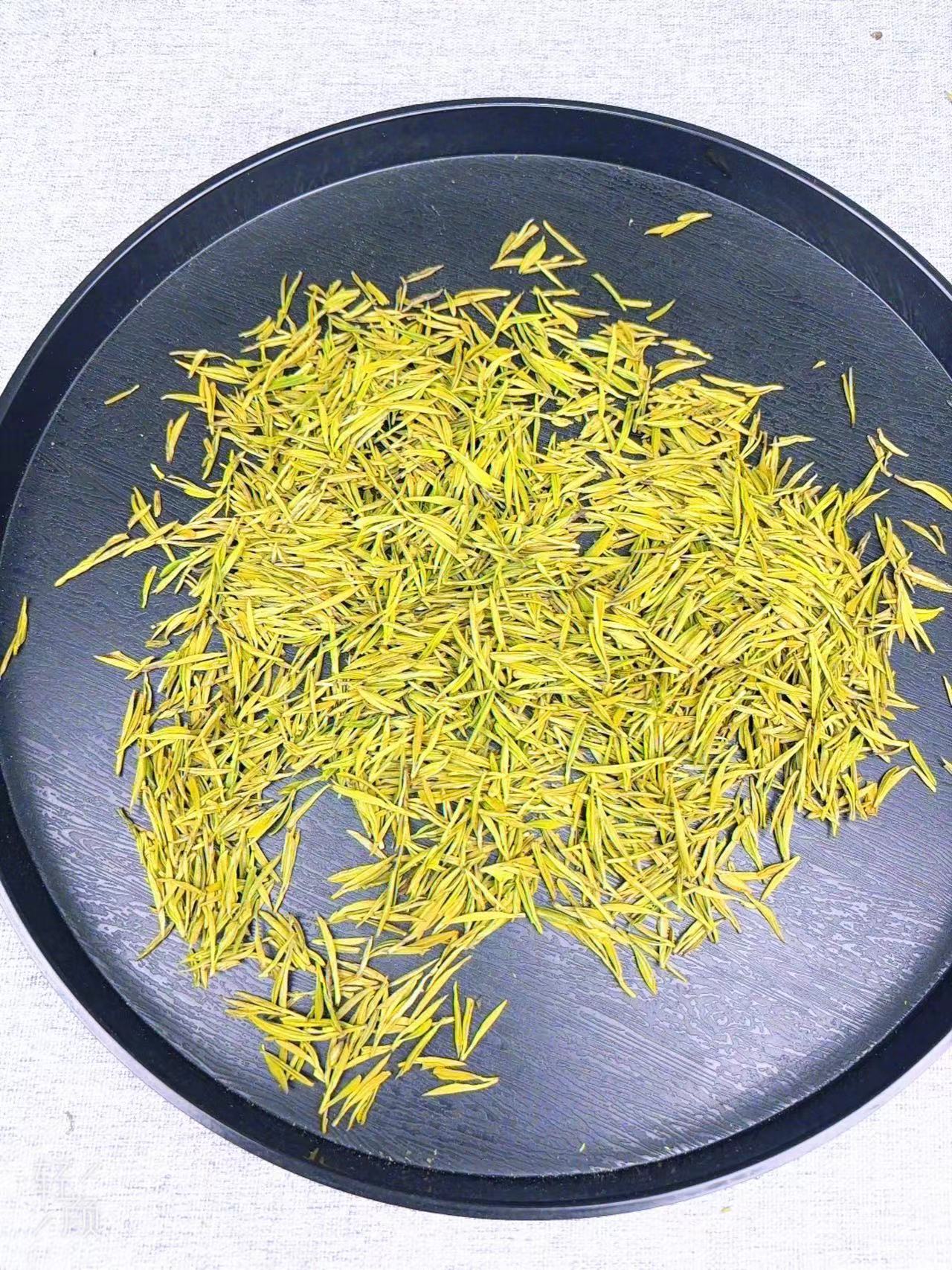 2025年新茶安吉溪龙原产地头采黄金芽高山小芽茶3AH豆香茶农批发