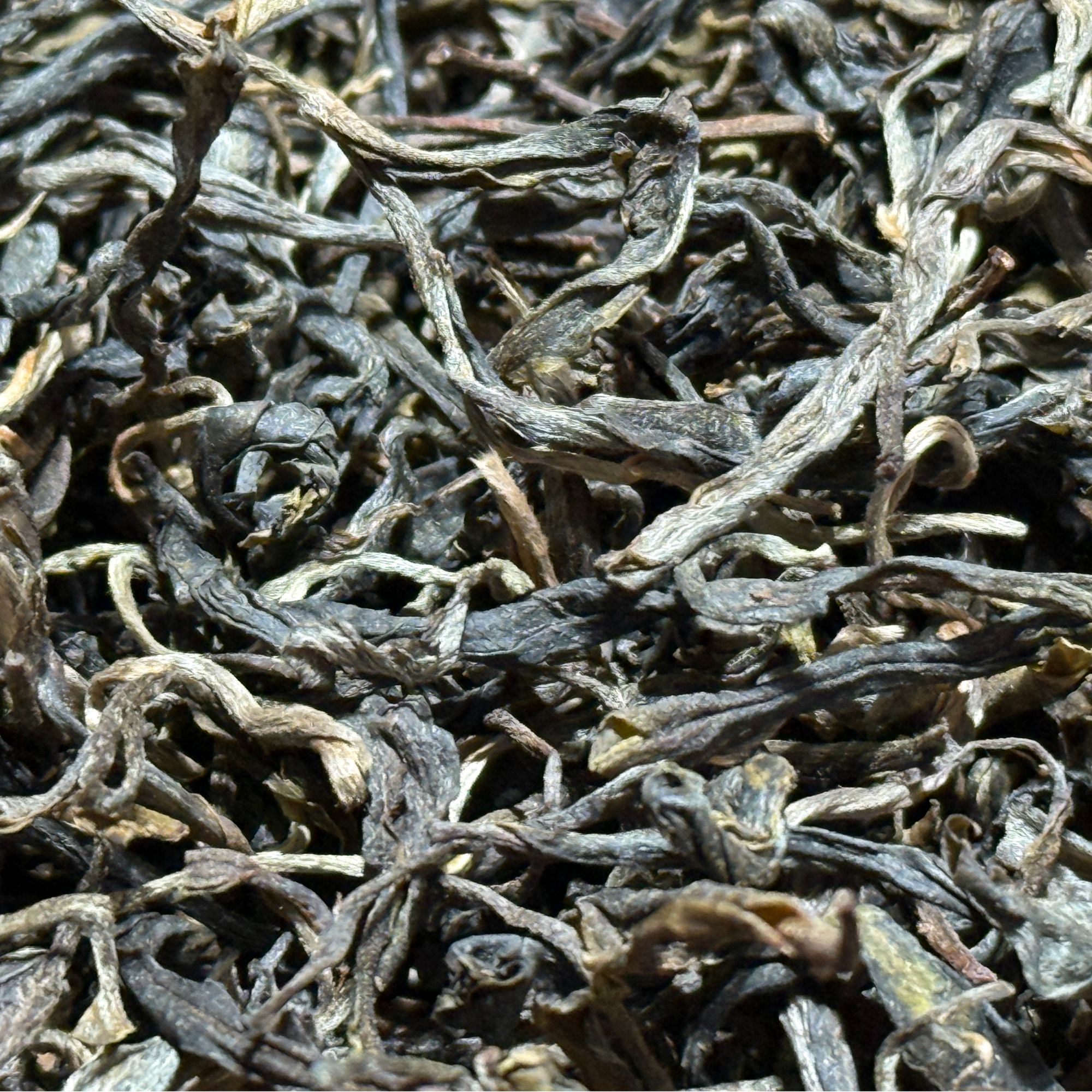 【臻】2024年天门山古树高杆  头春  普洱茶 生茶  散茶  200g