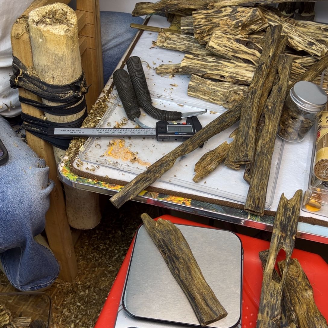 线香奇楠虫漏香39克