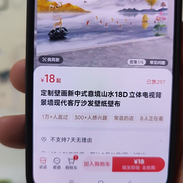 古***姐客厅电视墙壁画壁布