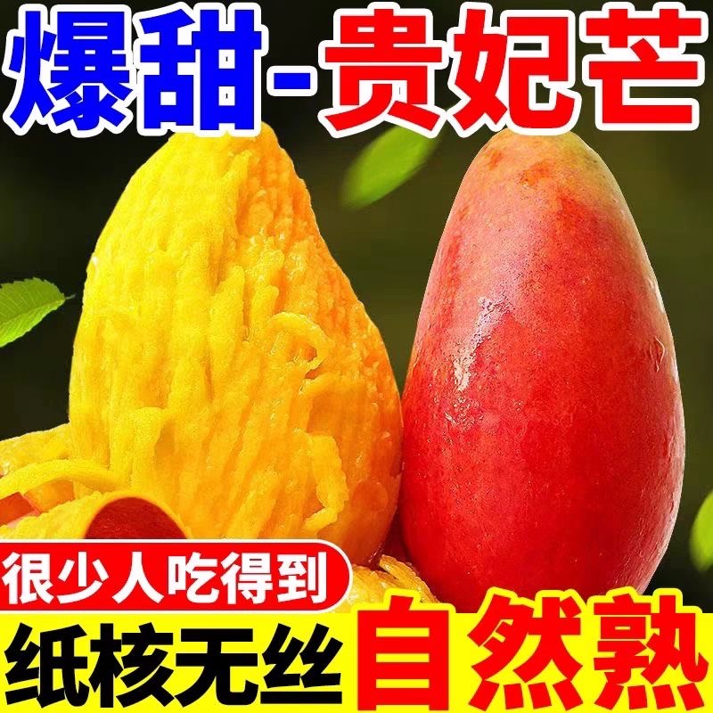 现摘高山贵妃芒当季新鲜采摘应季水果香甜多汁核薄肉厚整箱包邮
