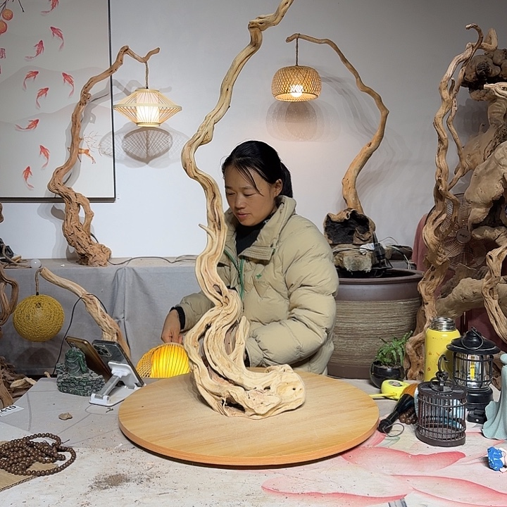 月***培杜鹃根6636363663636