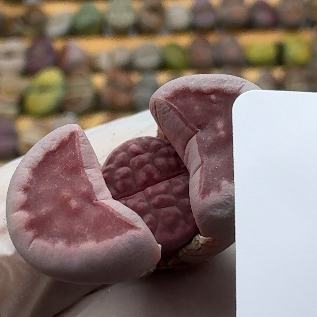 676哈哈哈哈哈哈哈哈