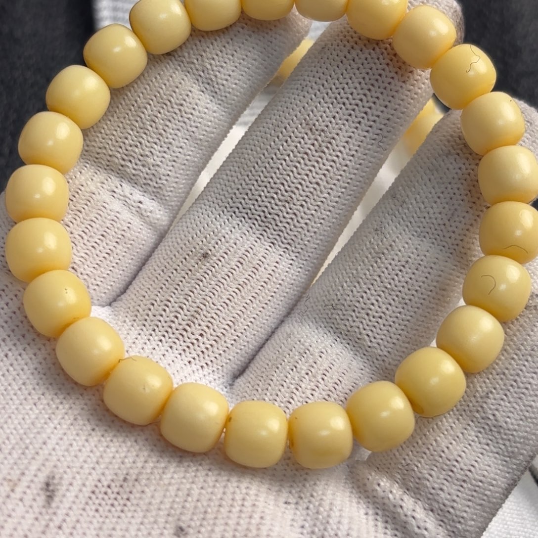 骆驼牙手串/手链骆驼牙