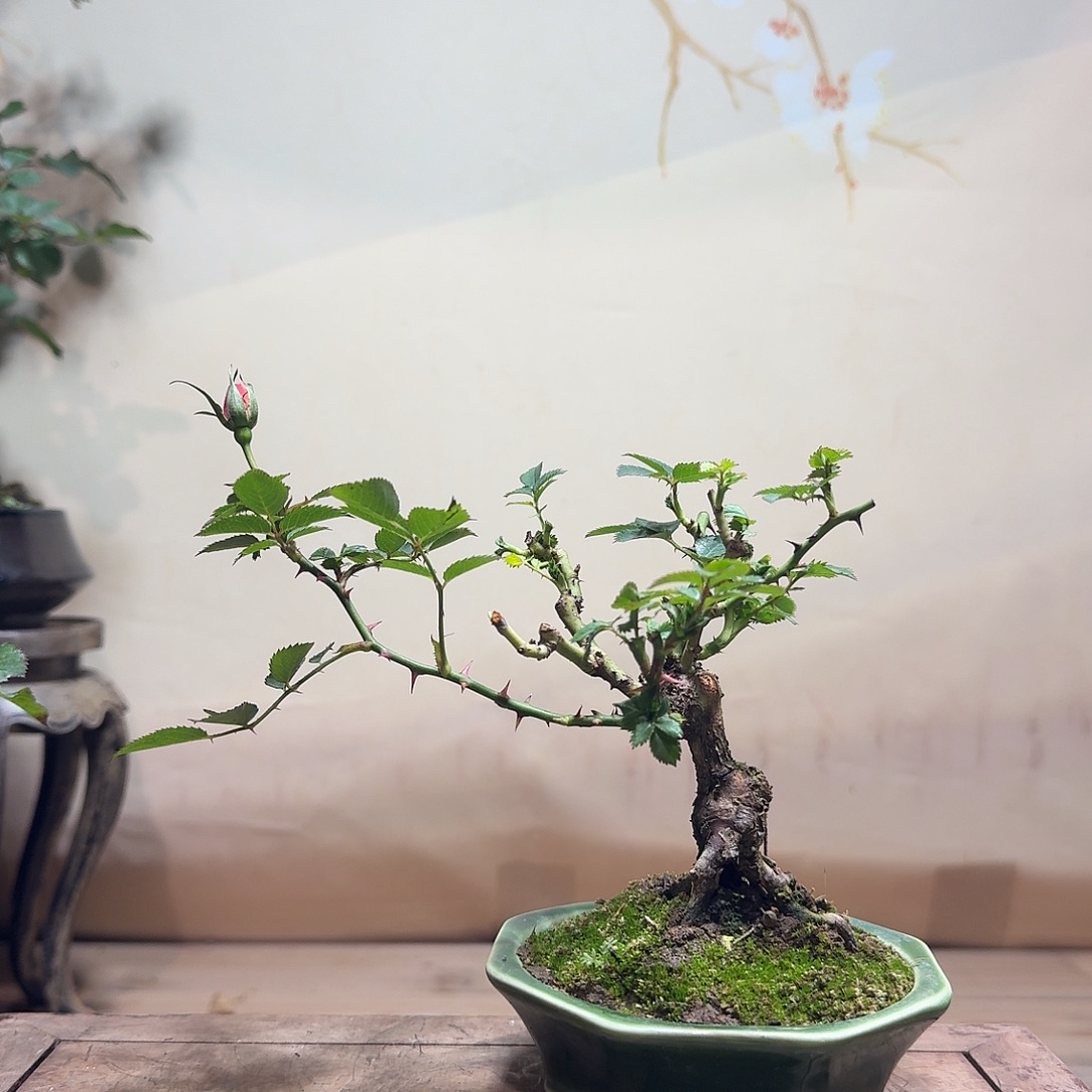 完全开放88888888888