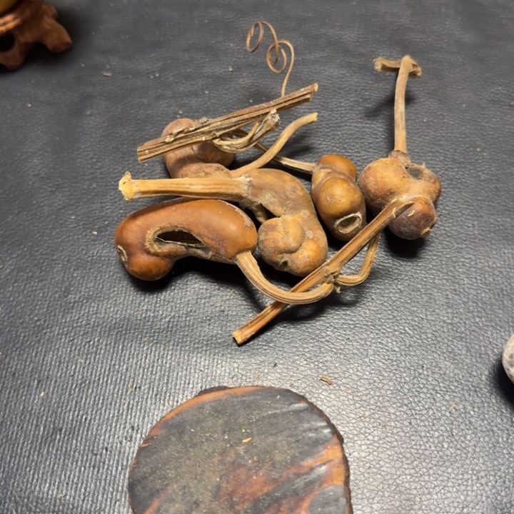 玩***）666666777778877888899