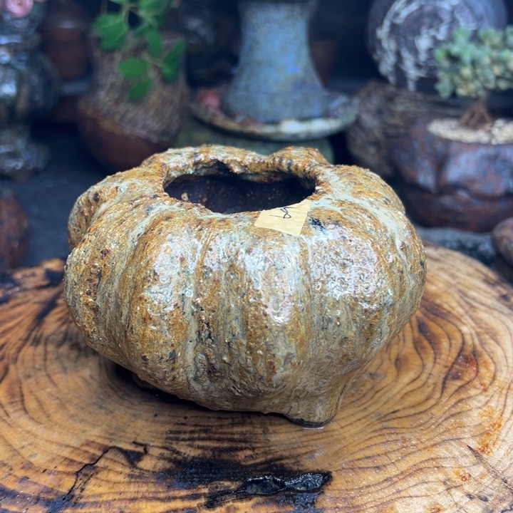 陶瓷制品不退不换