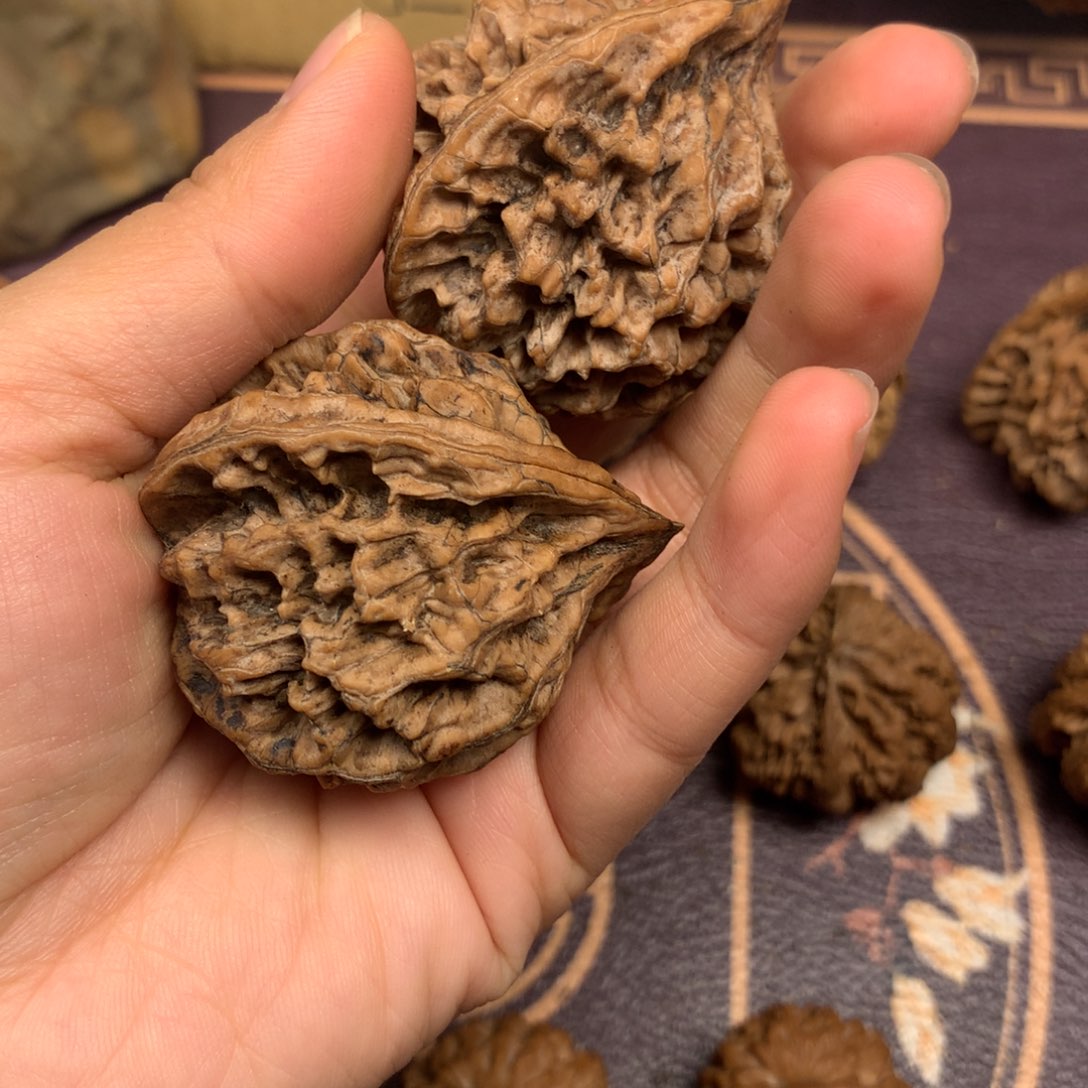 走*秦岭山脉的一个小盆地中有