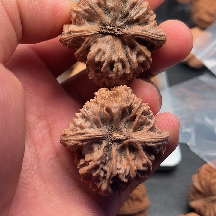 章***哥把件文玩核桃南疆43