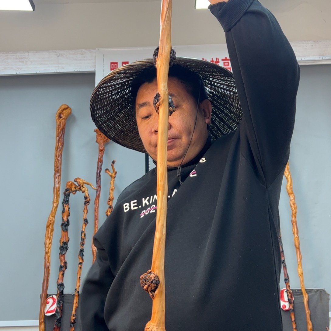 黑果木其他黑果木284