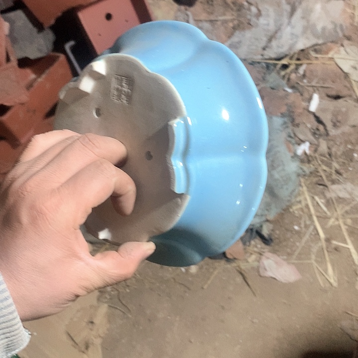 紫砂优秀青年科技学院教授一样