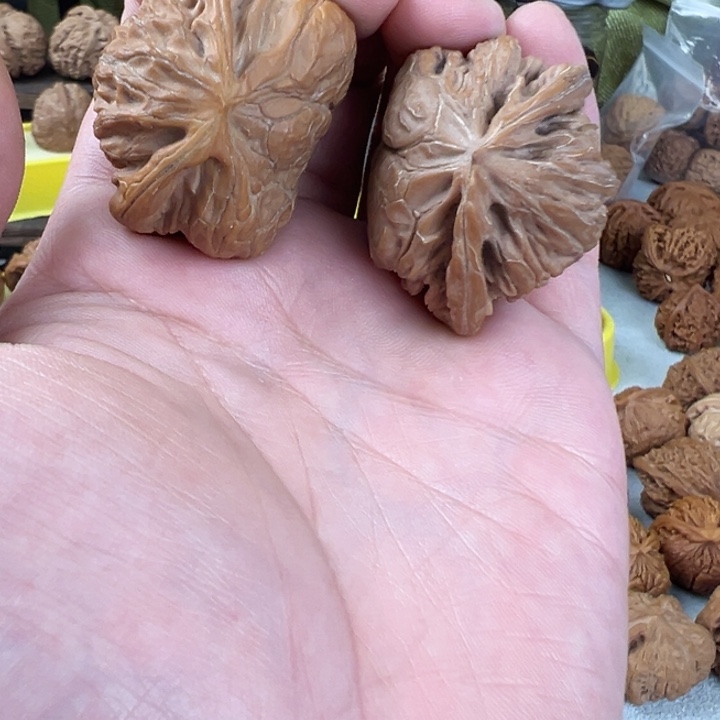 文玩核桃吊坠37尺宫灯蛇头