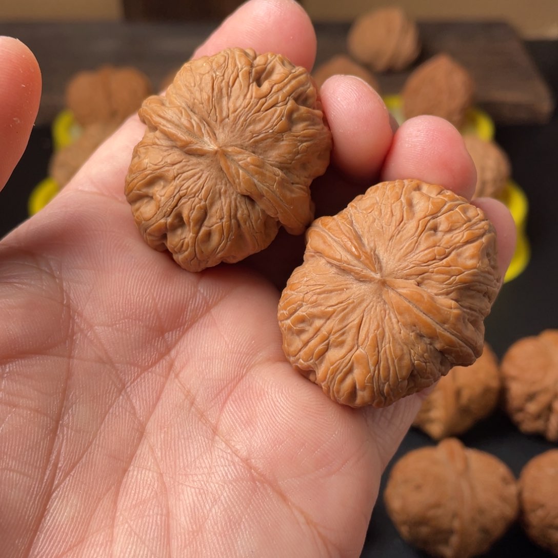 核桃不***天元宝