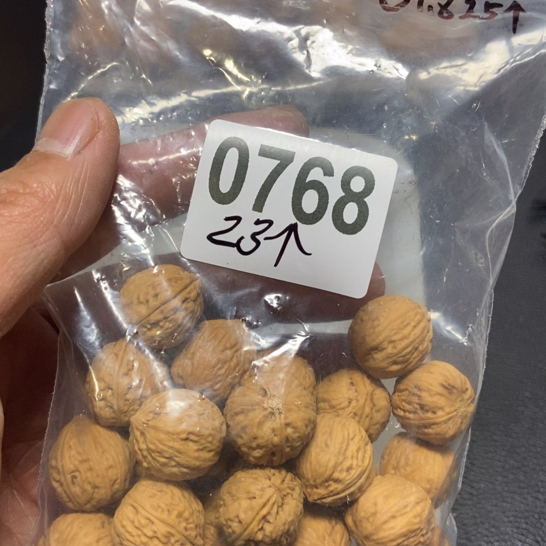 文玩核桃吊坠大*了秋子