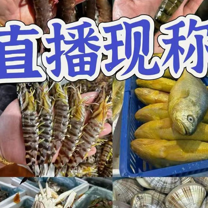 直播现称0.9-1.3二斤69.9（京东包邮）海鲜