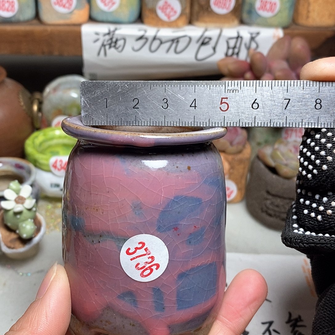 红陶拍5送一个小