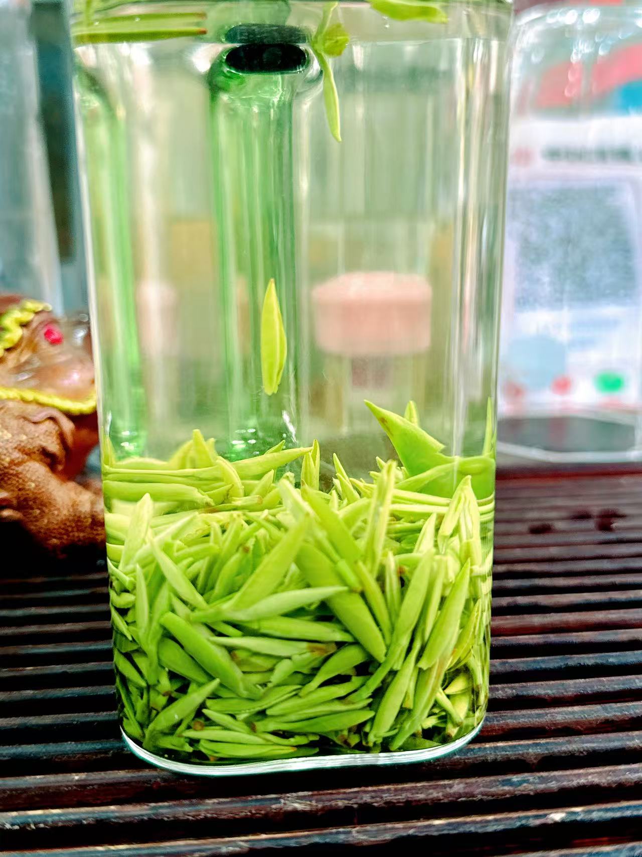 2025头春明前雨花，芽头颗颗饱满肥壮，粟香味浓郁，汤色香亮