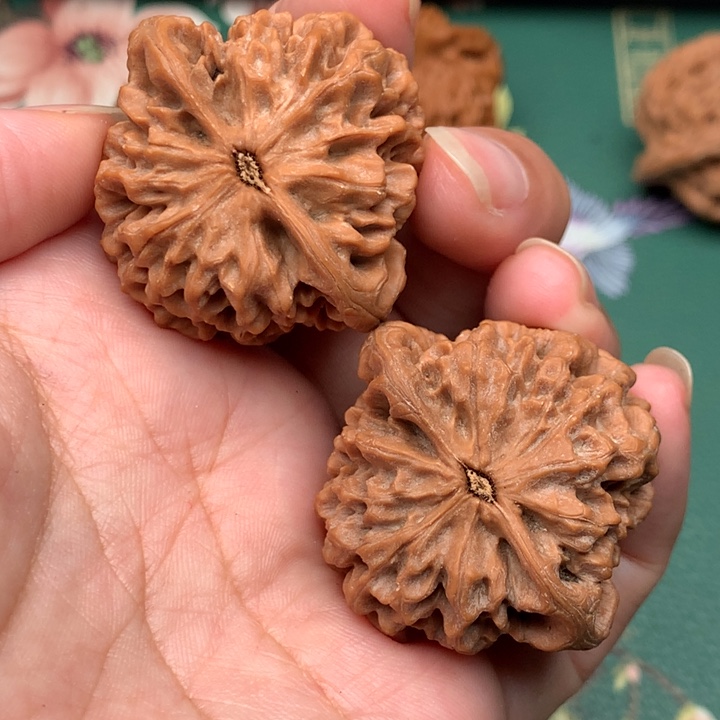 文玩核桃把件咖*茶37秦闷