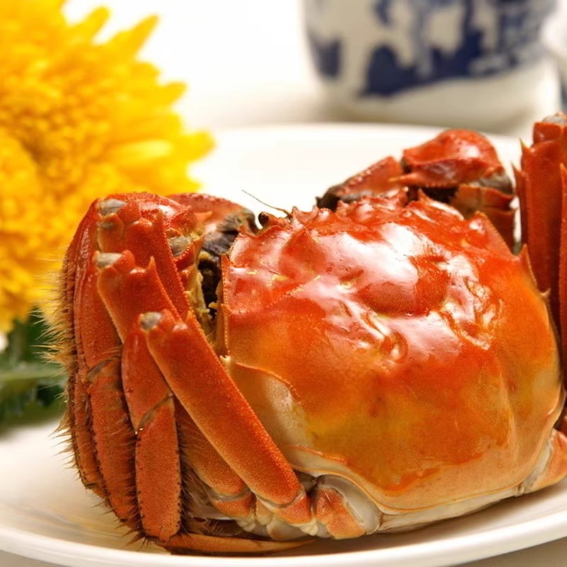 【活蟹】江苏大闸蟹 公蟹4.5-4.2两 母蟹3.5-3.2两 8只送2只 京东顺丰冷链