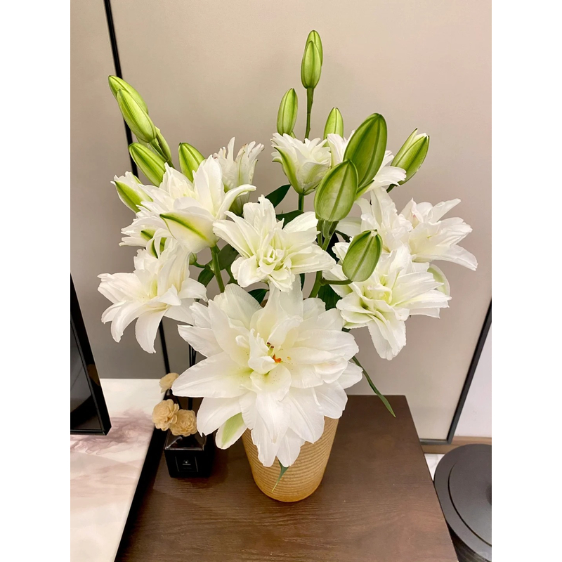【滑雪板】重瓣香水百合 一单包邮 云南鲜花昆明基地现采现发
