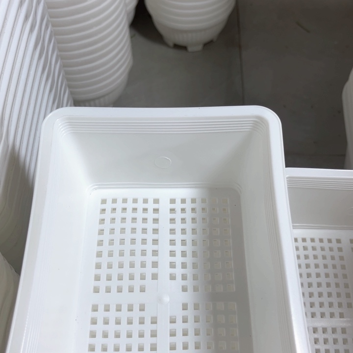 树脂白肓苗盘长18宽12方6一组13