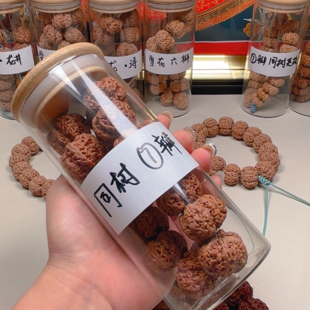 金刚菩提手串邻**孩28多半同树