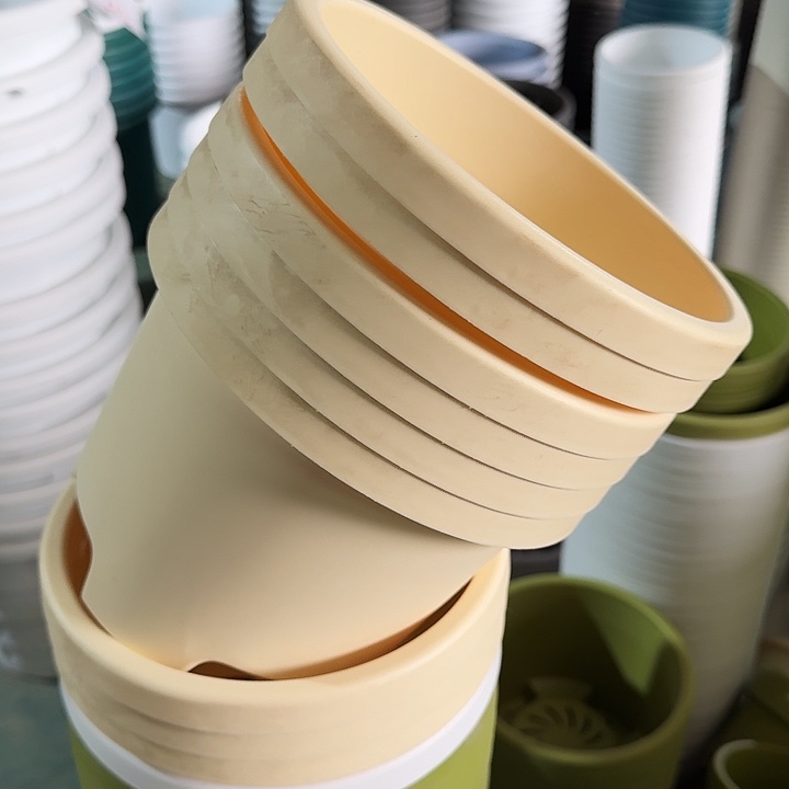 球根21口径6个无托米黄