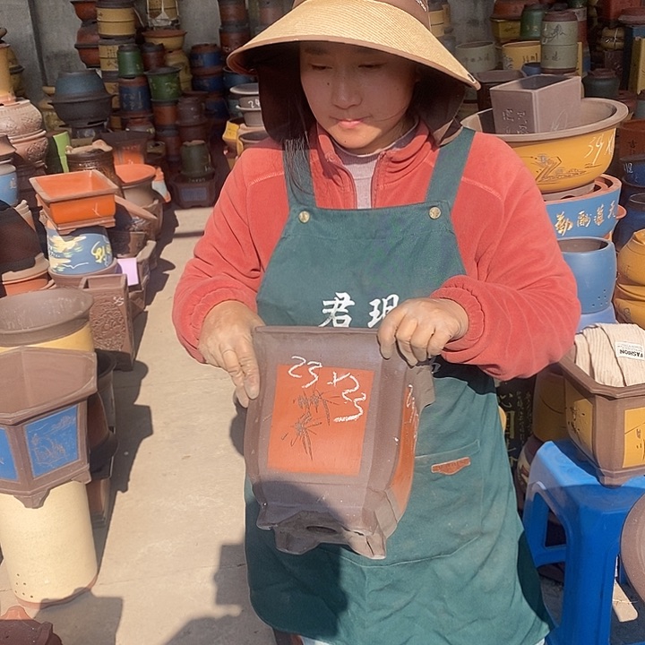 紫砂花盆盆栽花卉苗木种植
