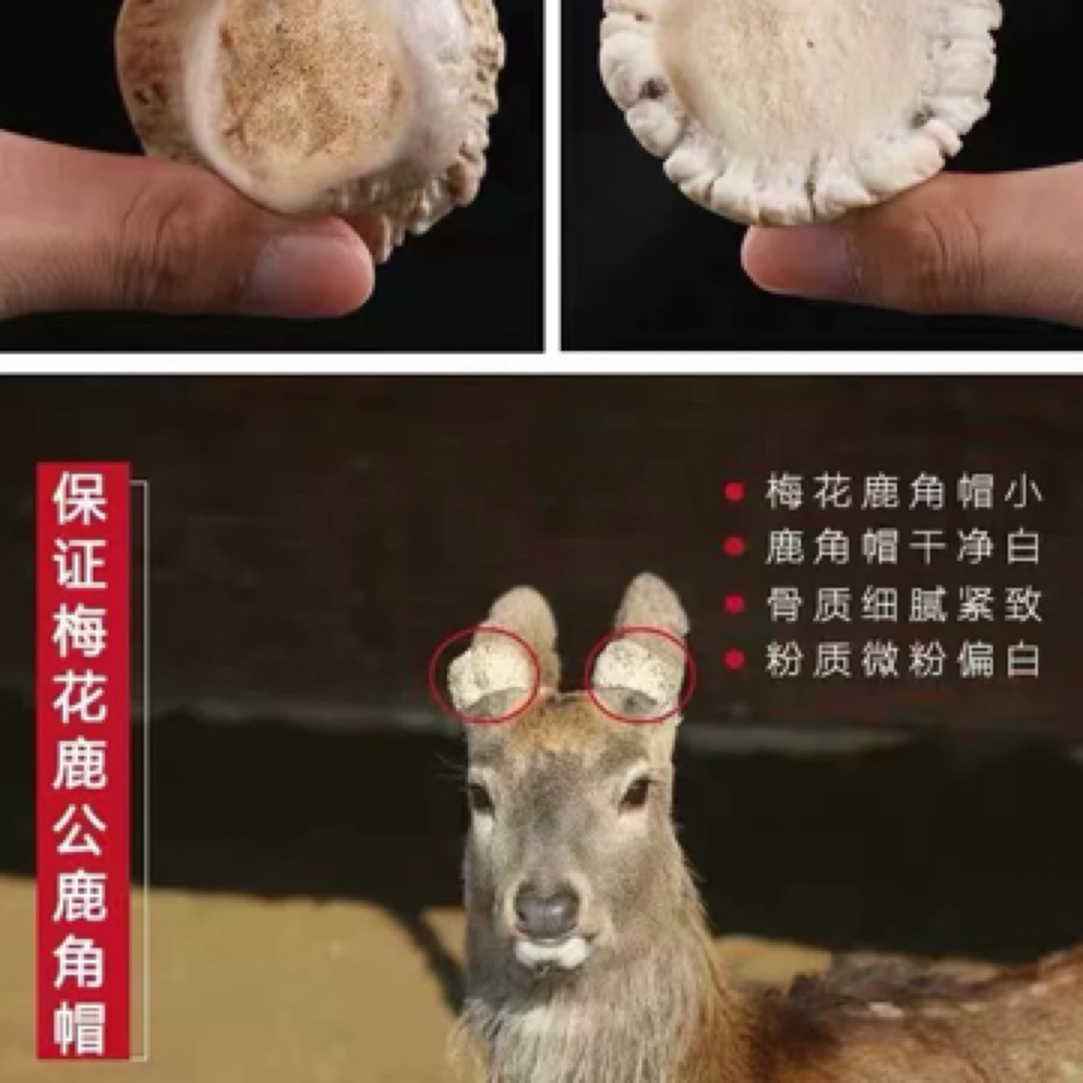 双阳原产地养殖鹿一鹿角帽