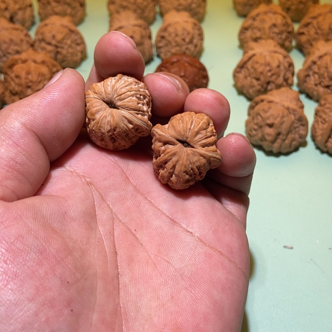 文玩核桃把件阿*，元宝30