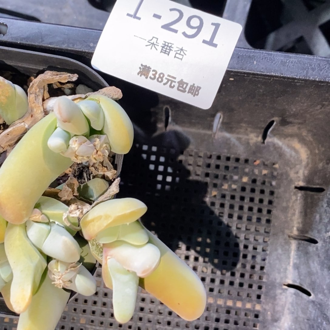 吃**睡5636653556658888555