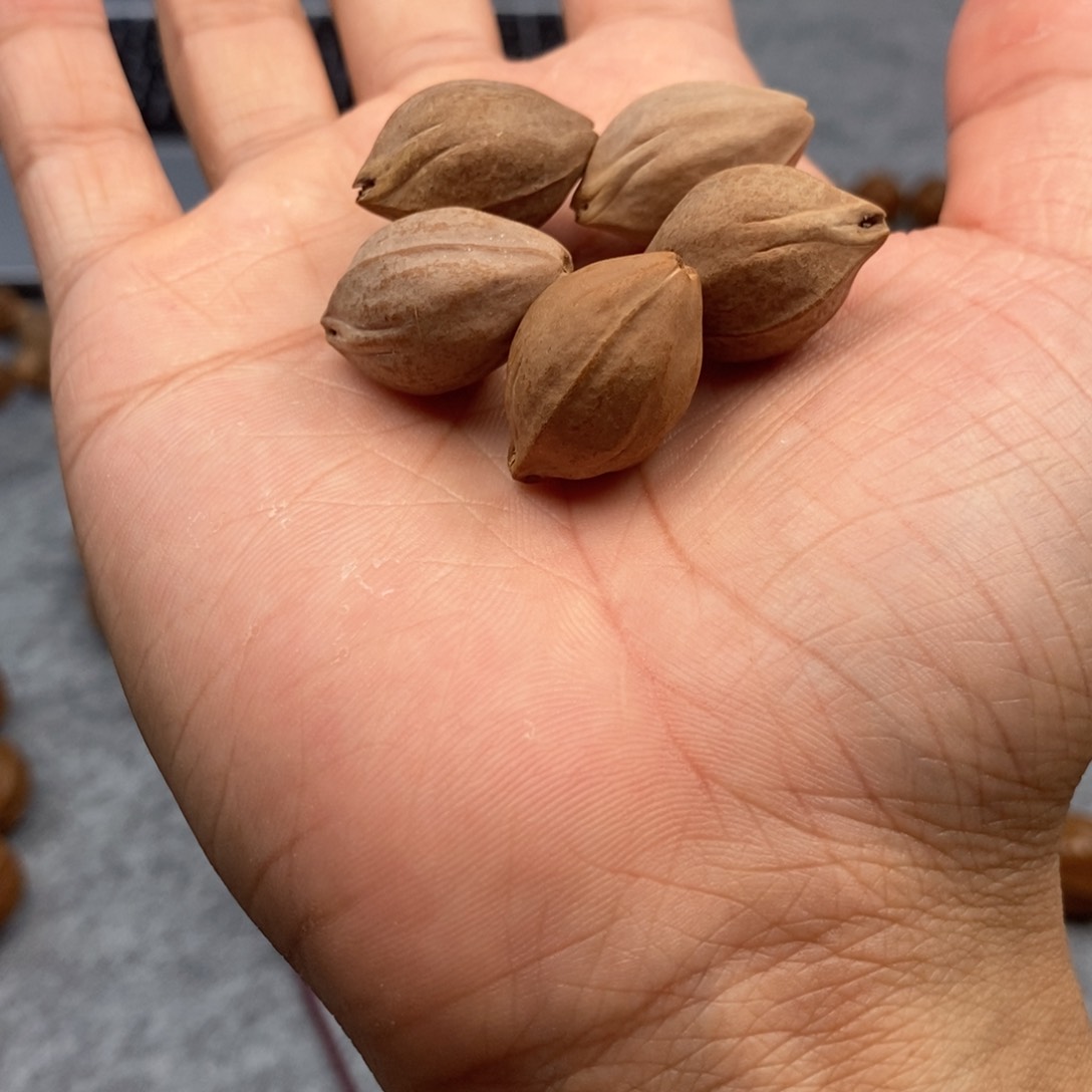 橄榄核手串/手链炸*15单籽三面佛