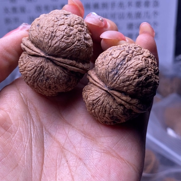 核桃云南野生铁核桃159号38mm