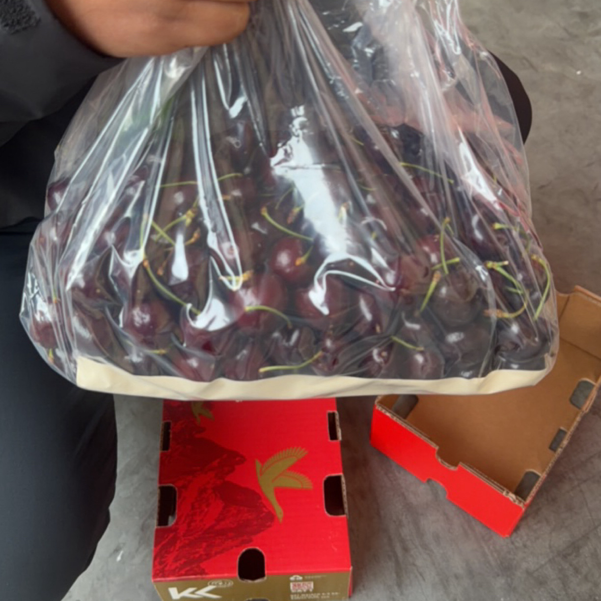 新鲜智利进口品种海运净重3斤JJD同城最快十分钟送达桑提娜樱桃加拿大